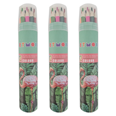 ARTMORE 專業用色鉛筆, 12色, 3個