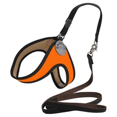 Easy Fit 胸背帶 + 牽繩套組, 橘色, 1個