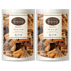 한방선생 유근피 느릅나무 뿌리껍질, 300g, 2개