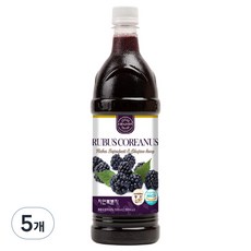 차전 자연에서온 복분자 원액, 900ml, 5개