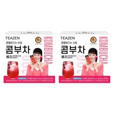 티젠 콤부차 베리, 5g, 50개입, 2개