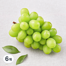 제이드가든 샤인머스캣 포도, 500g, 6개