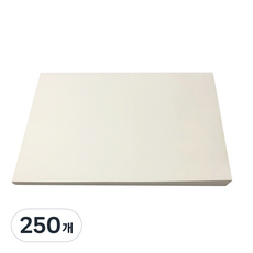 입시 전문가용 켄트지 130g, 250개