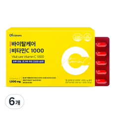 로니웰 바이탈케어 비타민C 1000, 6개, 120정