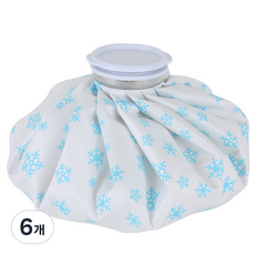 주온커머스 얼음주머니 화이트 27cm, 6개