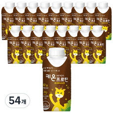 함소아 아동용 키온 프로틴 음료 초코바나나맛, 200ml, 54개