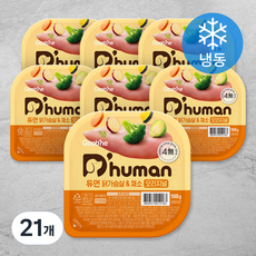 듀먼 전연령용 강아지 오리지널 화식사료, 닭+채소, 100g, 21개