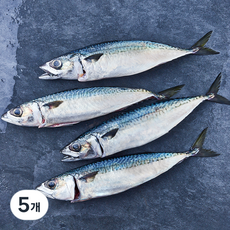 부산 간고등어 2손 해동 (냉장), 5개, 600g(중)