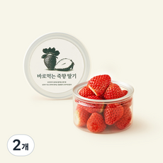 바로먹는 죽향 딸기, 150g, 2개
