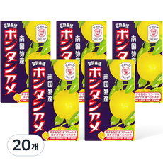 南國特產橘子糖 10枚入, 20盒, 45g