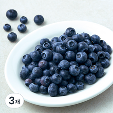 미국산 PSK 블루베리, 3개, 310g