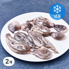 손질통 왕 쭈꾸미 (냉동), 2개, 350g(5-6미)