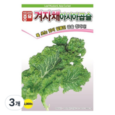 아시아종묘 씨앗 겨자 아시아곱슬 2000p, 3개