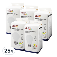 홈플래닛 안정기 내장형 LED 전구 15W, 주광색, 25개