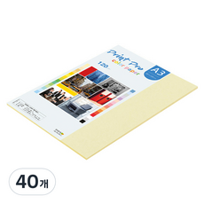 종이문화 프린트 프로 칼라복사지 NO 1 레몬 120g, 40개