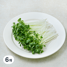 친환경 무순, 6개, 30g