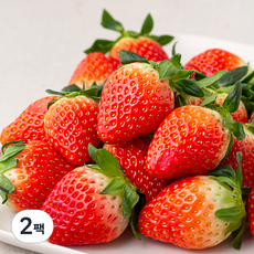 다조은 GAP 인증 의성 스마트팜 한단딸기, 500g, 2팩