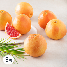 다조은 남아공산 자몽, 3팩, 2kg(6~8입)