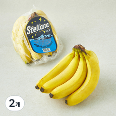 베트남산 스텔라나 고산지 바나나, 2개, 800g