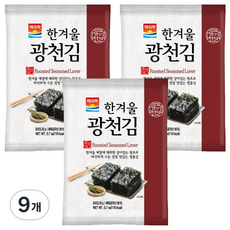 해의락 한겨울 광천김전장, 20g, 9개