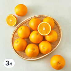 호주 네이블 오렌지, 2.5kg, 3개