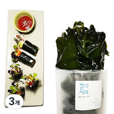 우진수산 염장 쌈다시마, 3개, 2.5kg