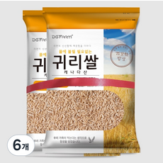대구농산 불릴필요없는 귀리쌀, 4kg, 6개