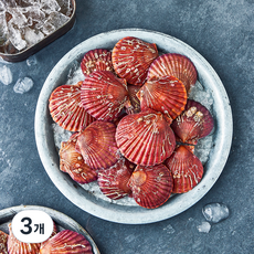 노량진수산시장 홍가리비 (냉장), 3개, 1kg