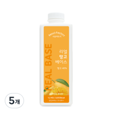 서울팩토리 리얼 망고 베이스, 1.2kg, 5개