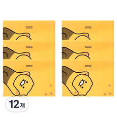 KAKAO FRIENDS 腳掌春植信封文件夾, 12個, 混合顏色