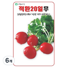 아람종묘 적환20일 무 씨앗, 6개