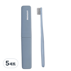 DM 알럽홈 삼각 케이스 칫솔 세트 블루, 20g, 5세트
