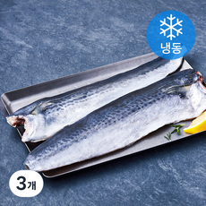 정품수산 삼치 (냉동), 3개, 500g