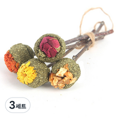 헤이본 토끼 기니피그 친칠라 이갈이 자연 수제 간식 스틱 4종 세트, 100g, 3세트