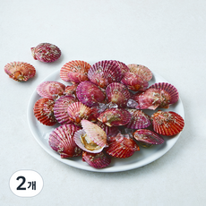 부산13번 중매인 생물 홍가리비 (냉장), 2개, 2kg
