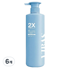 비바스 2X 스칼프 액티브 오일밸런싱 지성 쿨 탈모샴푸, 6개, 1kg
