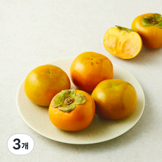 다조은 부유 줄단감 소과 5입, 3개, 700g