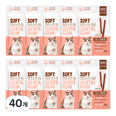 캣퓨어 고양이 소프트 덴탈껌, 20g, 40개, 구강 장건강에 도움