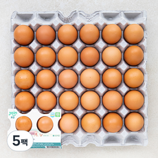 조인 신선 영양란 무항생제 인증 대란, 30구, 5세트