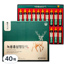 원기담 녹용홍삼정 활력, 20ml