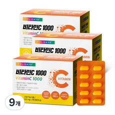 홀리데이즈 비타민C 1000 99g, 180정, 9개