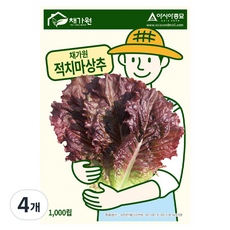 아시아종묘 씨앗 상추 채가원 적치마 1000립, 4개