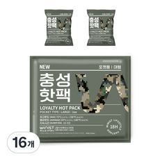 NEW 충성핫팩 포켓용 대형 150g 5개입, 16개