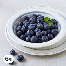 만나다 칠레산 알이 큰 블루베리, 125g, 6개
