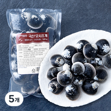 곰곰 국산 모시조개 (냉장), 5개, 500g