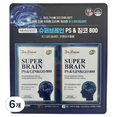 닥터브라이언 슈퍼브레인 PS & 징코 800, 30정, 6개