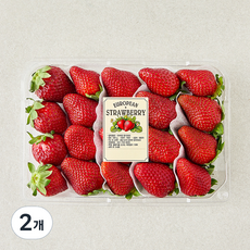 유러피안 딸기 대과, 2개, 500g