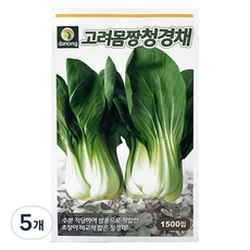 다농 고려 몸짱 청경채 씨앗 1500p, 5개