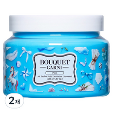 부케가르니 에어 퍼펙트 고체 탈취제 무향 본품, 450g, 2개