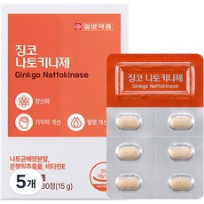 일양약품 징코 나토키나제 15g, 5개, 30정